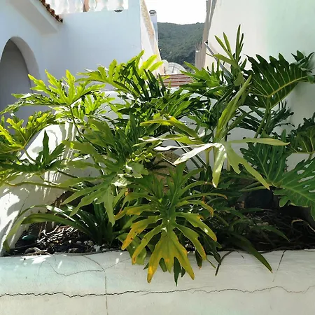 Daire Royal Panorama Penthouse Arona (Tenerife)