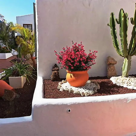 Daire Royal Panorama Penthouse Arona (Tenerife)