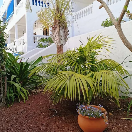 Royal Panorama Penthouse * Arona (Tenerife)