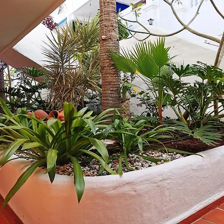 Royal Panorama Penthouse Apartman *