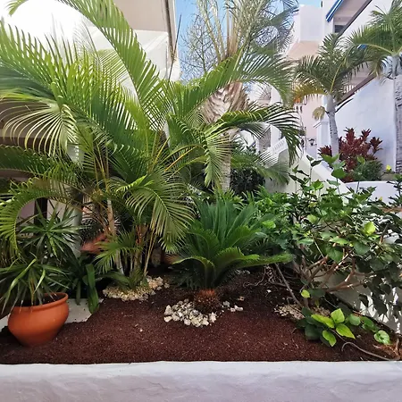 Royal Panorama Penthouse דירה *