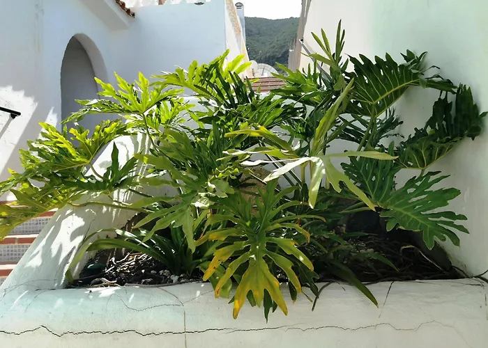 Apartmán Royal Panorama Penthouse Arona (Tenerife)