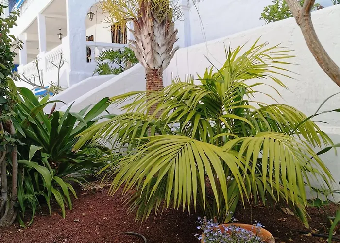 Royal Panorama Penthouse * Arona (Tenerife)